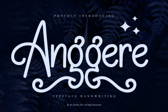 Enhance Your Campaigns with Anggere: A Versatile Font