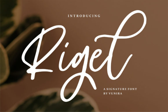Exploring Rigel: A Stylish Script Font for Creative Branding
