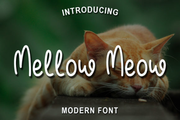 Mellow Meow: A Script Font with Gentle Charm