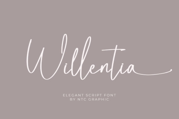 Willentia: A Premium Script Font for Elegant Projects